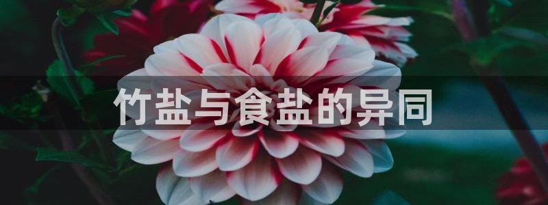 威九国际网站客服电话多少啊