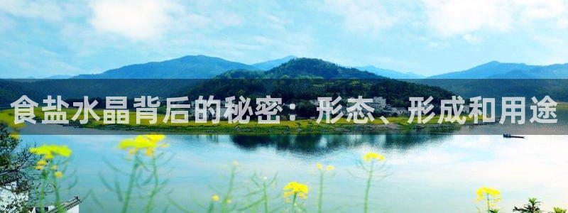 威九国际网站安全吗