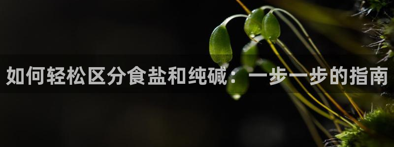 威九国际女演员名单介绍