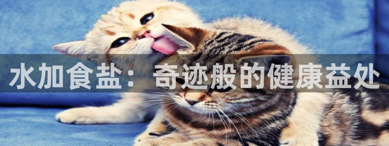 威九国际网站入口&rdpuo