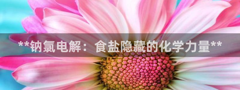 威九国际女儿的朋友