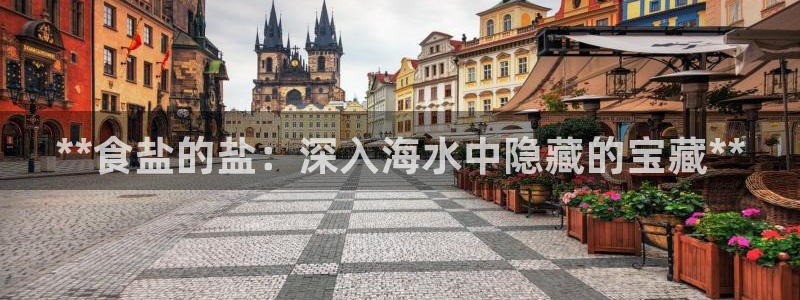 威九国际网站是多少