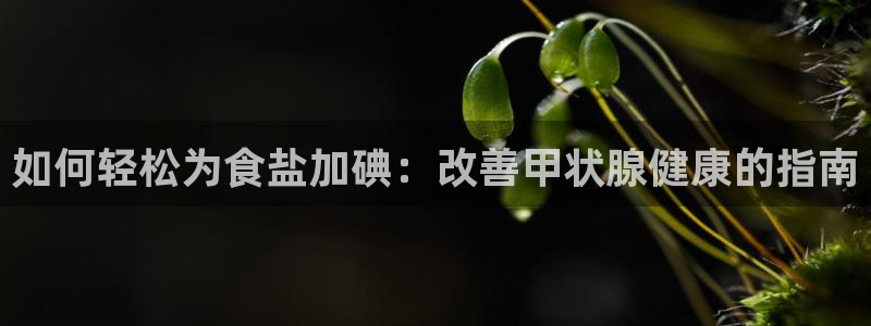 威九国际78mob游戏说明