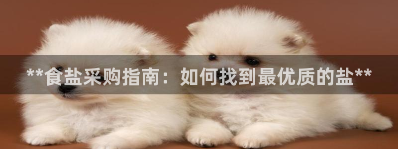 威九国际官方入口