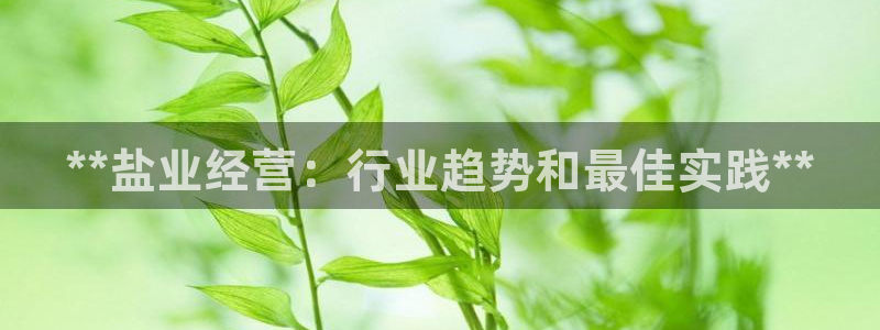 威九国际电子有限公司