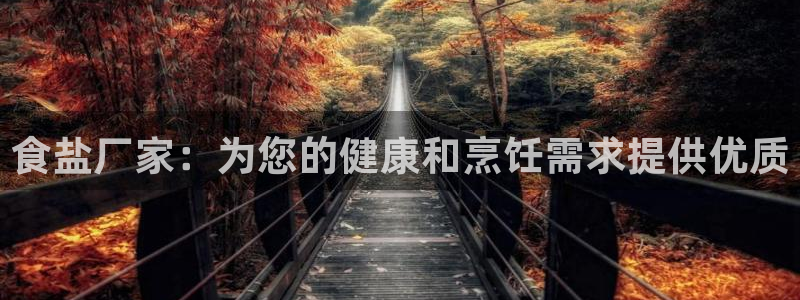 威九国际旗下艺人