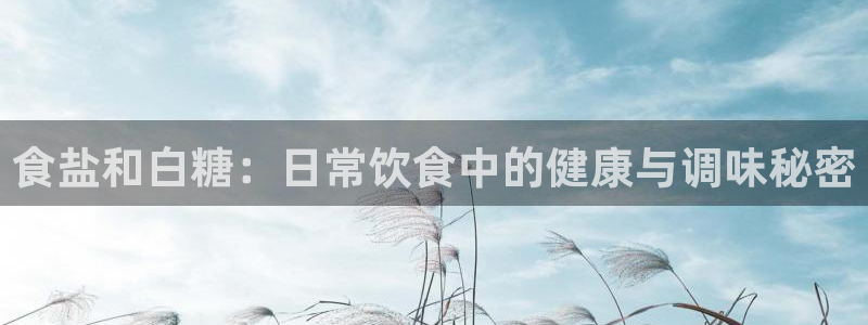 威九国际网站更新