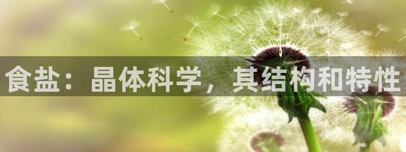 威九国际在线平台怎么样啊