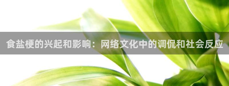 威九国际精选