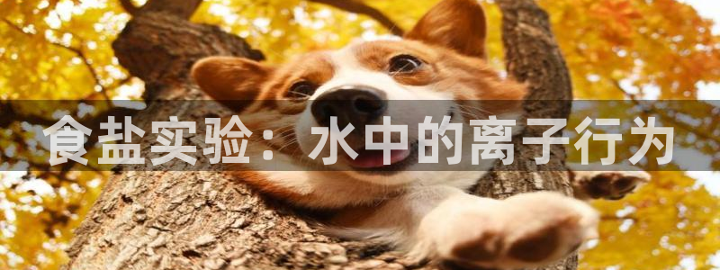 威九国际免费进入