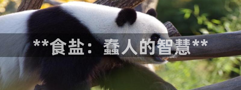 威九国际网站客服电话多少号码
