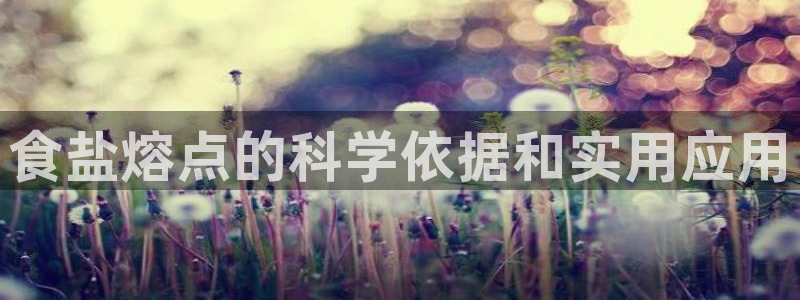 威九国际空降服务女演员叫什么名字
