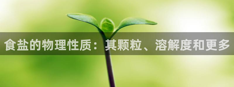 威九国际精彩推荐怎么样