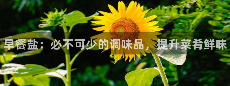 威九国际人民网