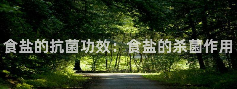 78mapp威九国际免费官方版下载