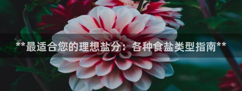 威九国际旗下艺人