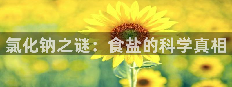 威九国际视频传媒招聘