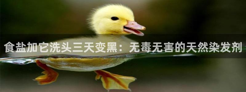 威九国际app客服电话号码
