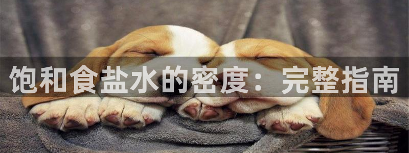 威九国际可以退钱吗怎么退款
