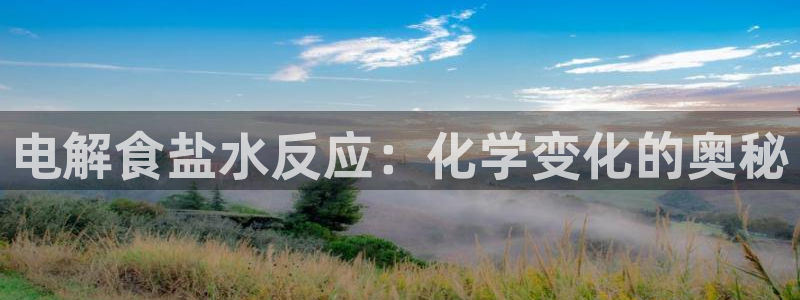 威九国际女演员好漂亮