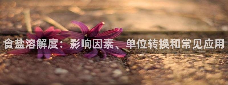威九国际女明星