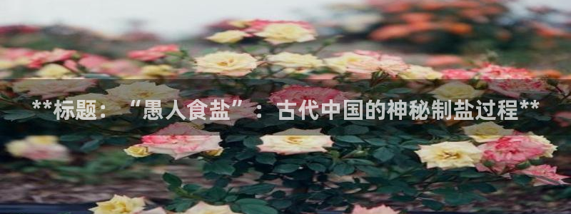 威九国际EVA0001