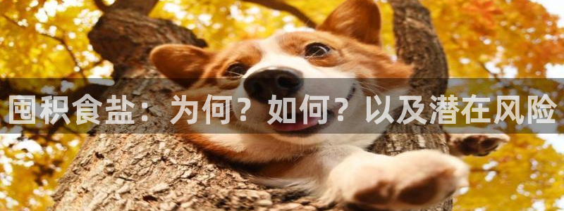 威九国际66m66大陆
