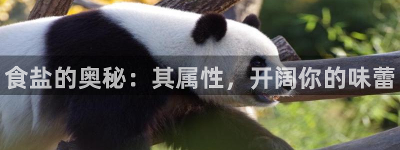 威九国际网站入口官网首页