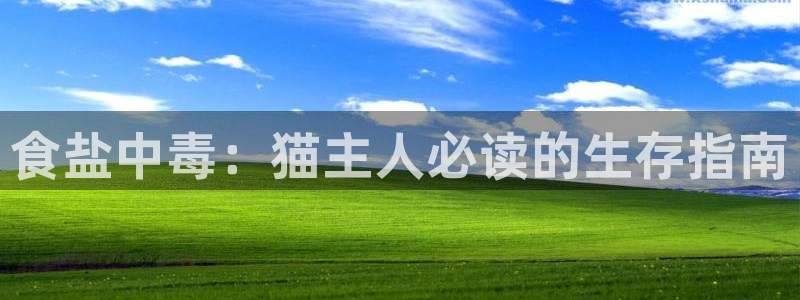 威九国际网页看视频弹窗的广告拦截插件