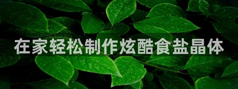 威九国际最新网站
