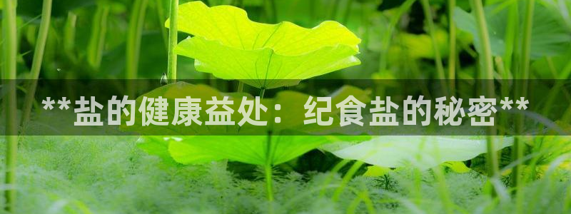 威九国际APP下载