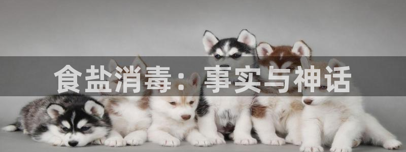 威九国际免费进入