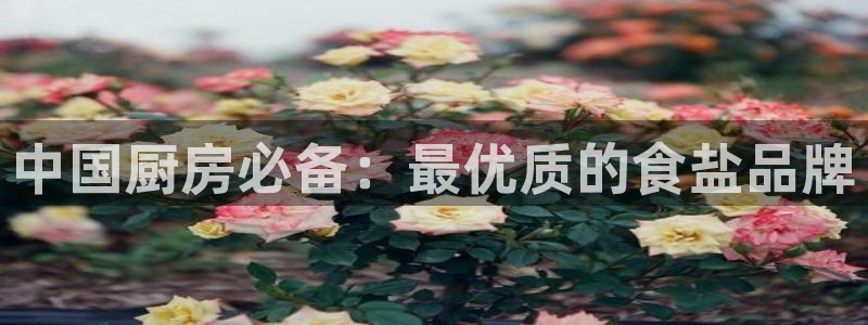 威九国际78ma