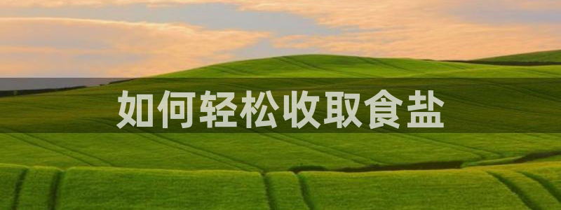 威九国际66在线