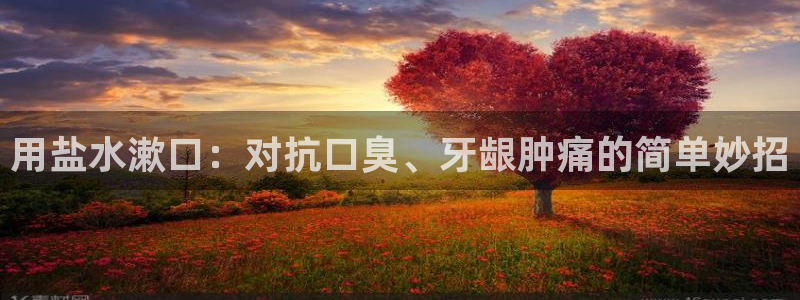 威九国际替好友去