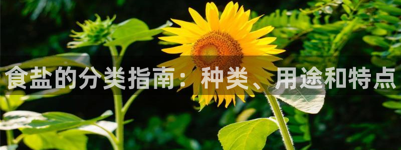 威九国际新人白发