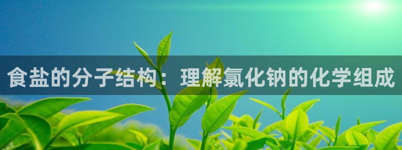 威九国际人民网