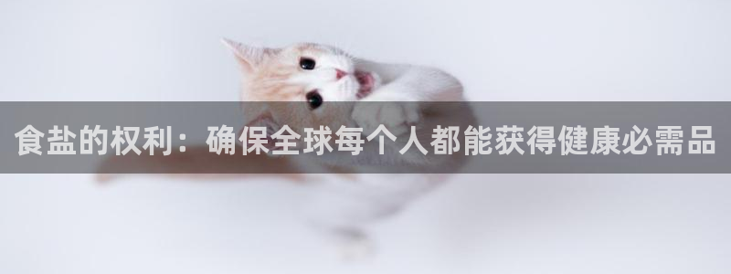 保定威九网络科技有限公司
