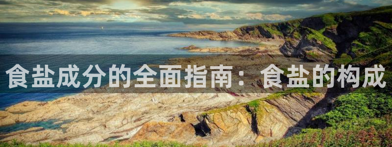 威九国际78m78下载