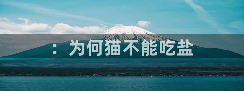 78mapp威九国际官网
