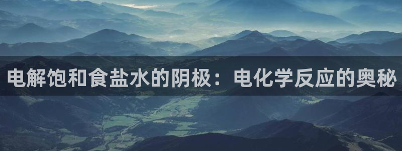 66m威九国际精选