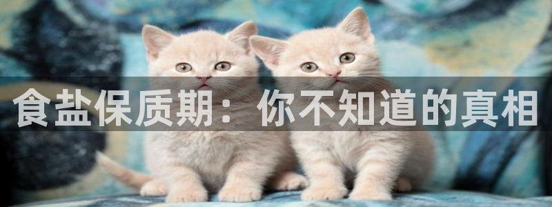 威九国际网站怎么样知乎