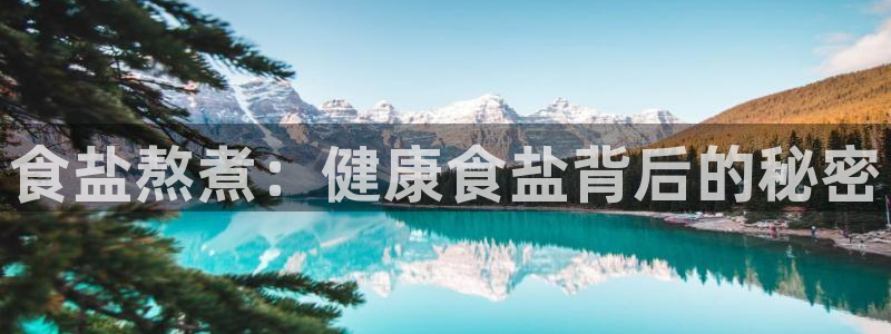 威九国际软件公司简介