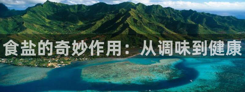 威九国际AN