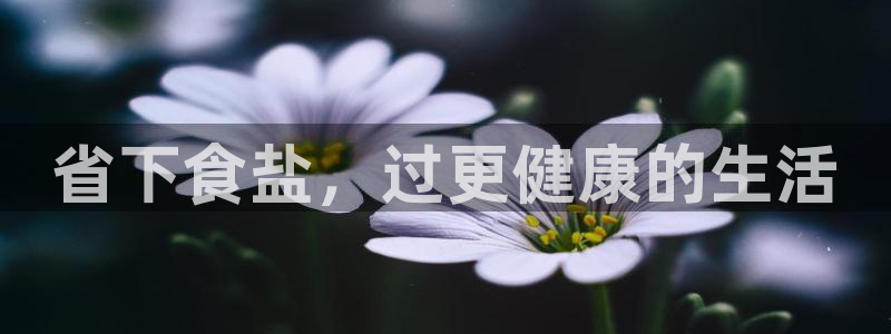 威九国际免费版