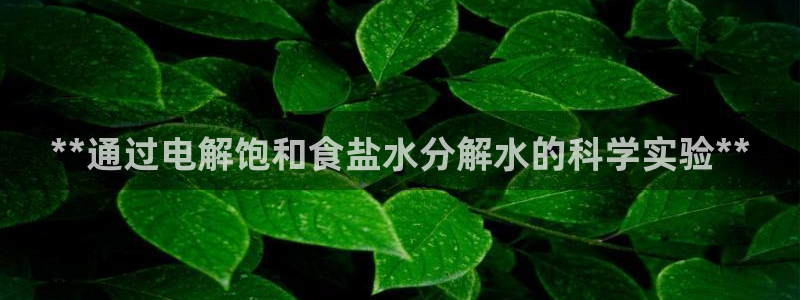 威九国际女
