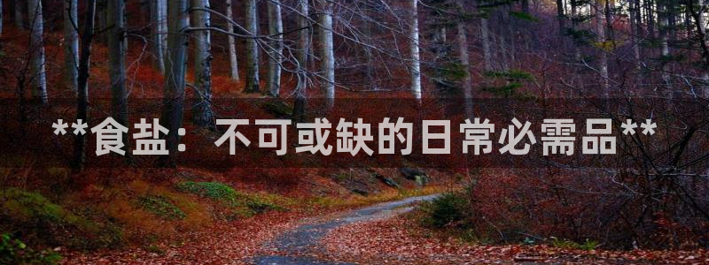 威九国际国精彩片段