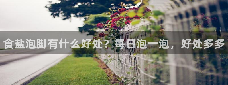 威九国际网站客服电话多少啊