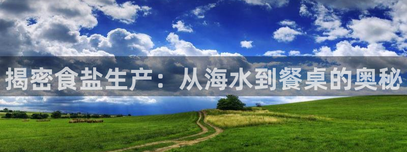 威九国际安全吗