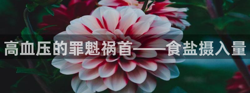 威九国际78m光伏巨头隆基绿能esg成色